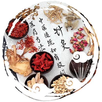 Picture of Chinese herbal medicine ingredients